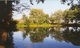 Königs Wusterhausen und Umgebung 8