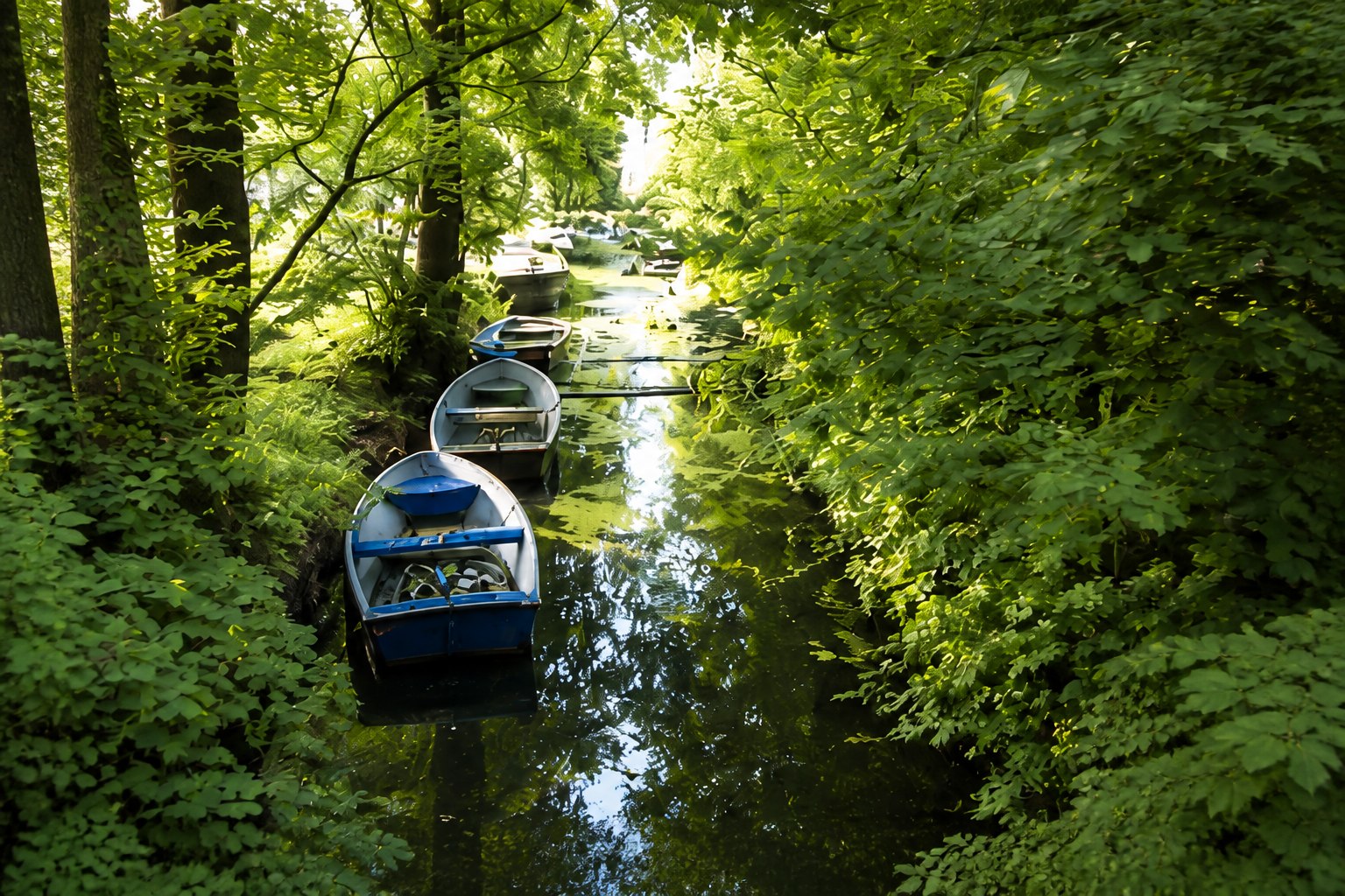 Grüner Kanal mit kleinen Booten nahe Königs Wusterhausen